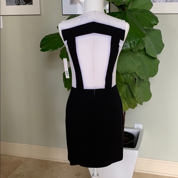 Gianni Bini Black & White Dress - Picture 3 of 5